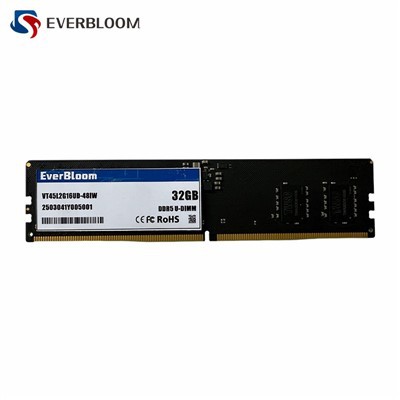 DDR5 UDIMM 5600